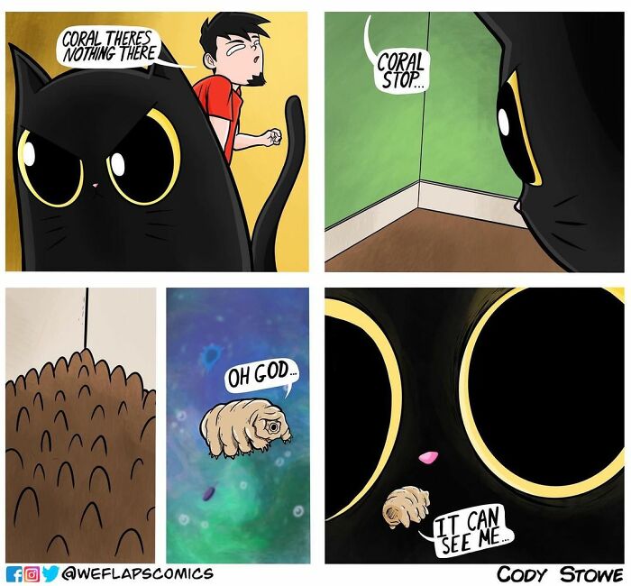 The funny comic of cats shows struggle to live with a cool cat.