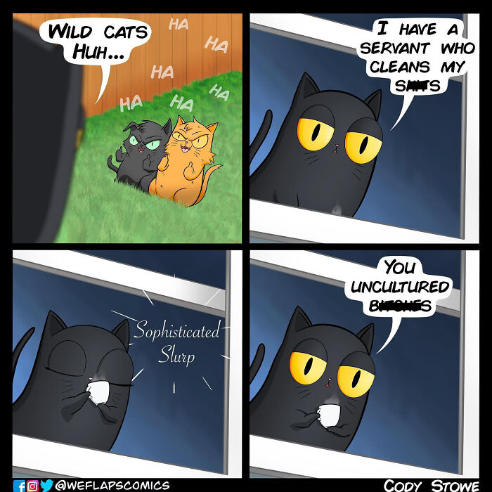 In this funny cat comic, artist showed how the cat is being cool and tried to show how it is to be live with a cool cat.