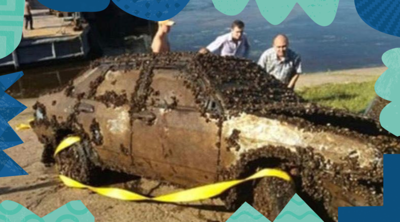 Bomb discovery! He accidentally found a car at the bottom of the river and called the police