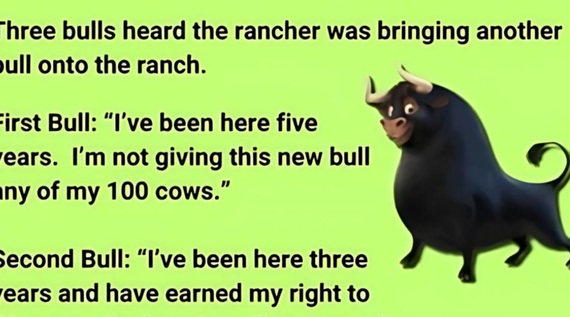 The Three Bulls on the Ranch