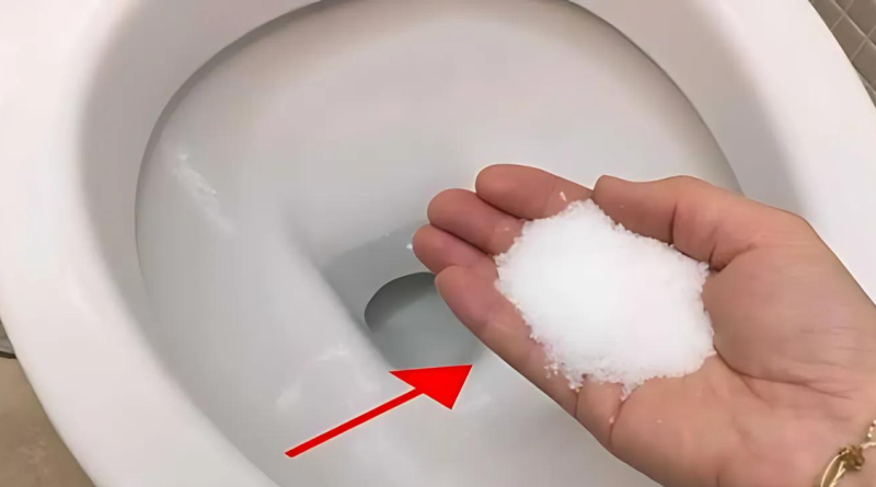 Put salt in the toilet