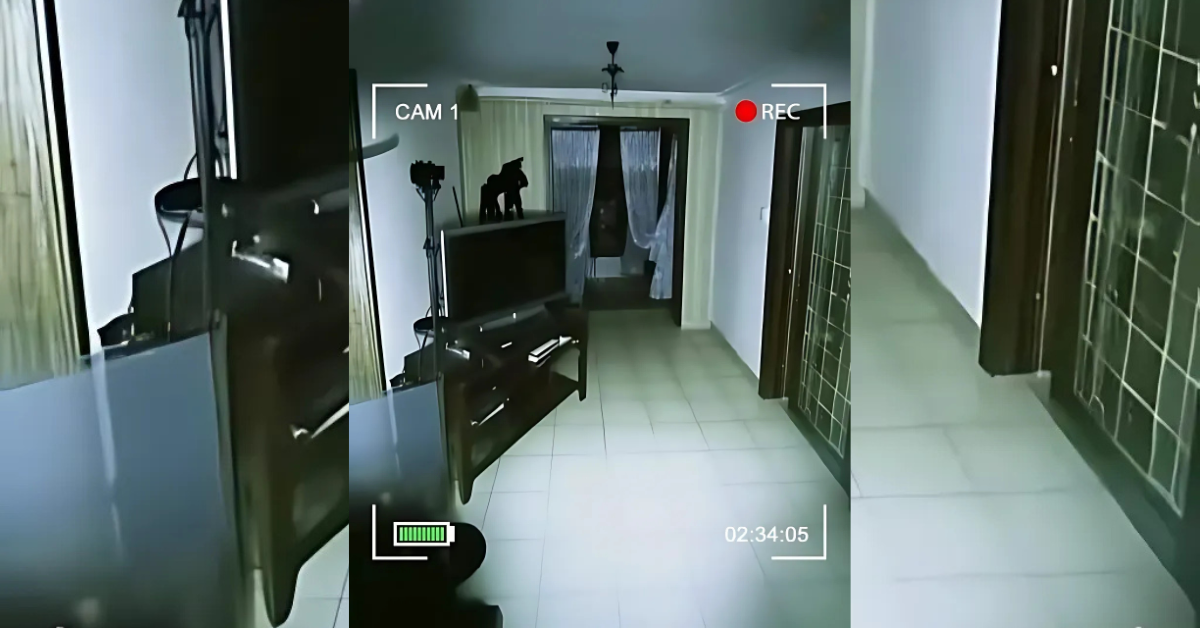 A Shocking Discovery: Uncovering the Truth Behind Mysterious Movements