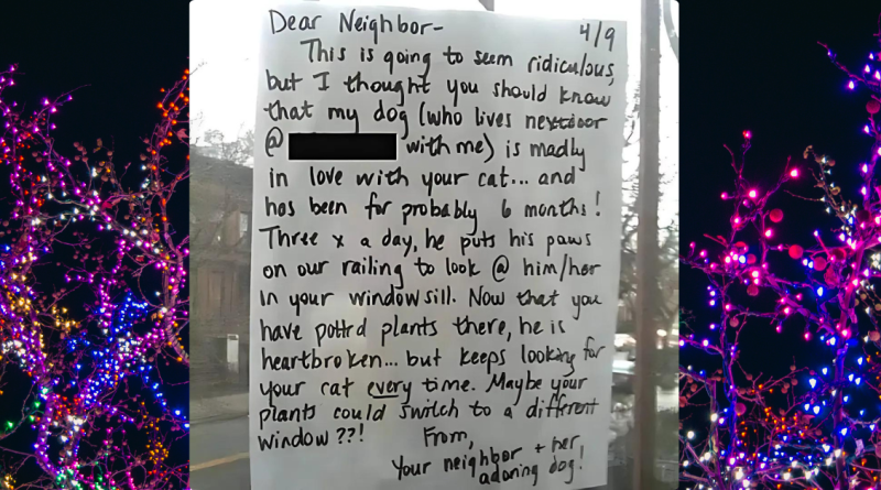 Dog Falls In Love With Cat And Watches Out The Window Every Days.