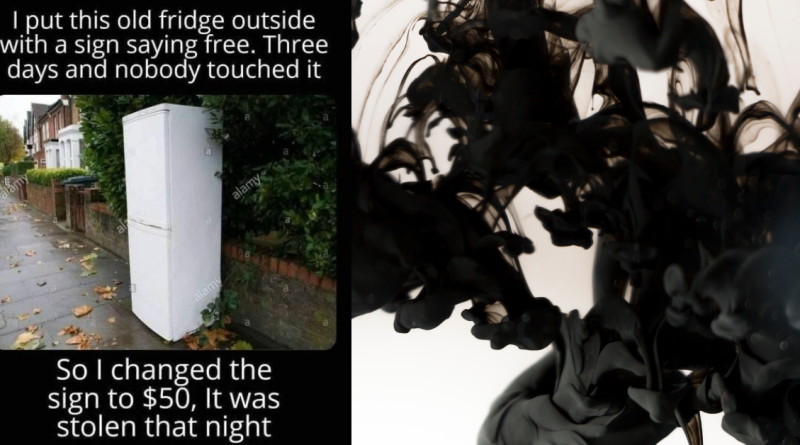 I Put This Old Fridge Outside with a Sign Saying ‘Free.’ Three Days and Nobody Touched It…