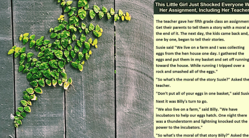 LITTLE GIRL SHOCKED EVERYONE WITH HER ASSIGNMENT, INCLUDING THIS TEACHER