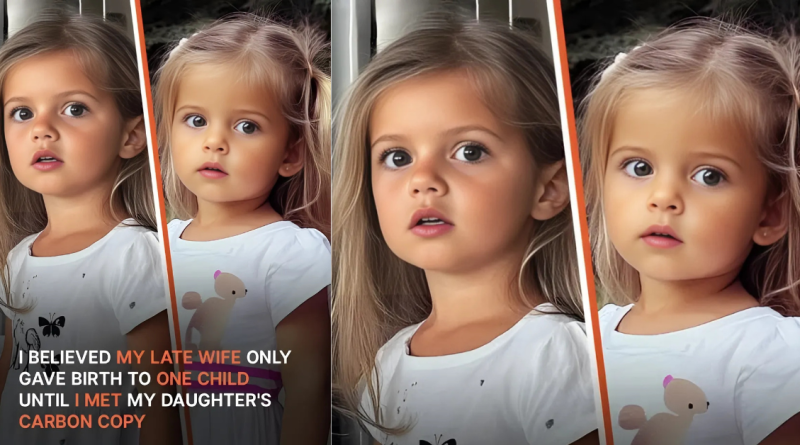 Man Who Is Certain Late Ex-wife Gave Birth to Only One Kid Meets Their Daughter’s Carbon Copy