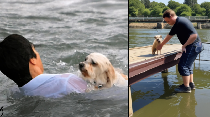 Man going to work jumps off a bridge when seeing a dog drowning…