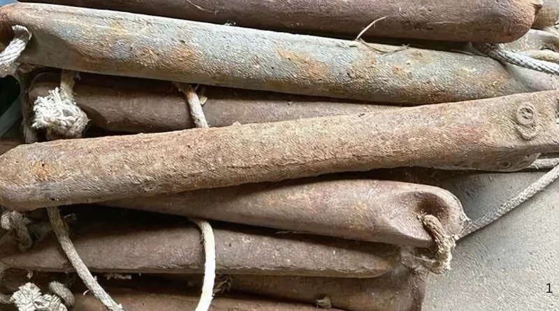 I found a bunch of these when I was planting