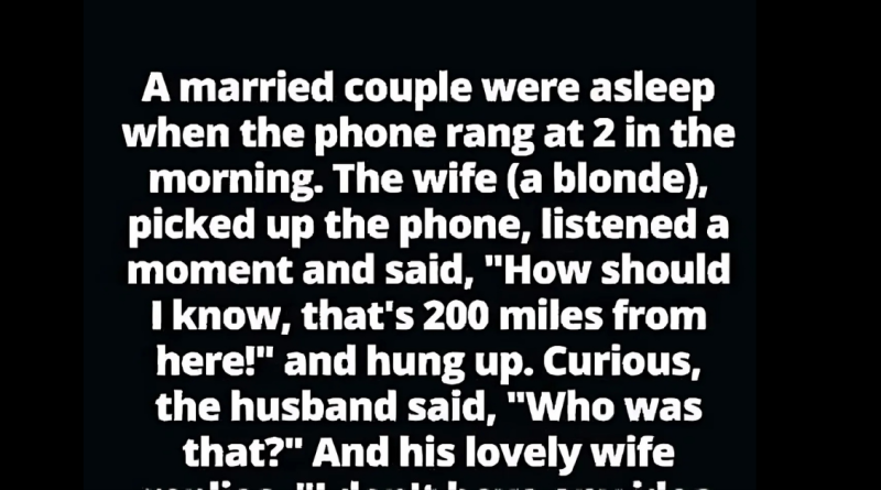 Midnight Call Confusion That Will Leave You in Stitches!
