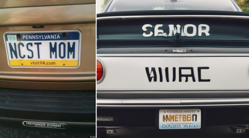 This Clever License Plate Is Making Waves for Surprising – Look At It