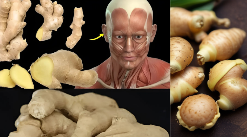 What Happens To Your Body When You Eat Ginger Everyday