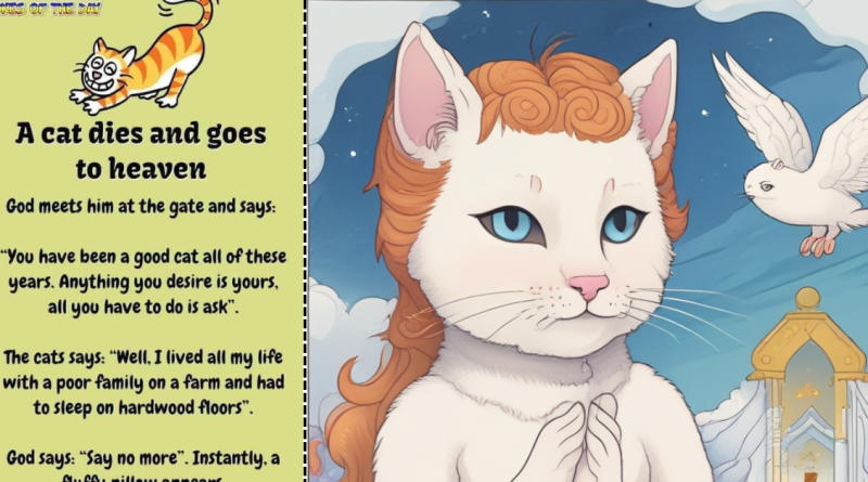 A cat dies and goes to heaven