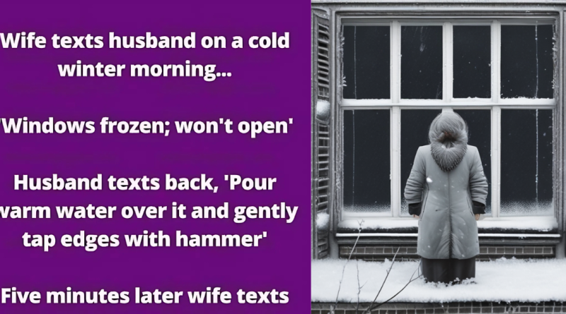 Frozen Windows: A Hilarious Misunderstanding