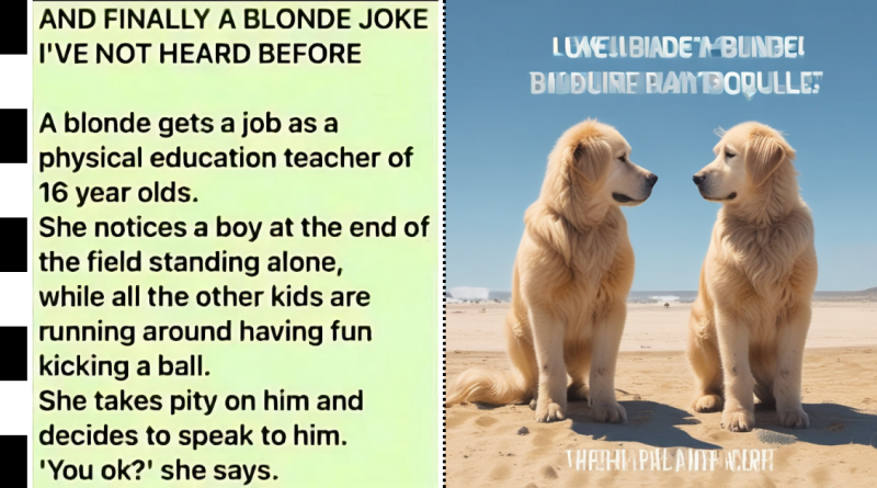 Hilarious Blonde Joke I’ve Not Heard Before