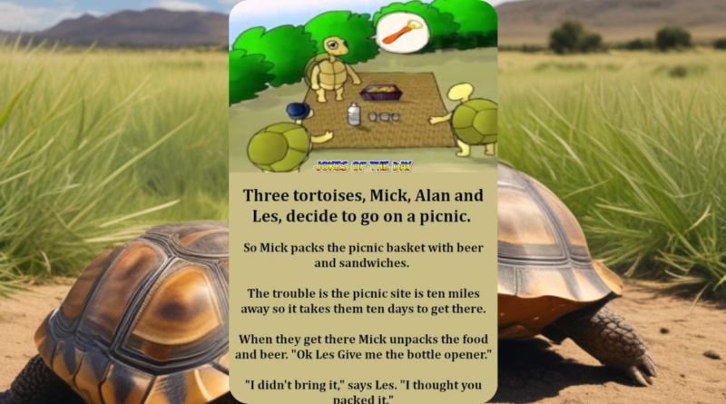 Three tortoises set off for a picnic under the sun.