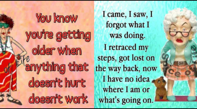 20 Amusing Old lady Cartoons That Depicts Funs of Her Life