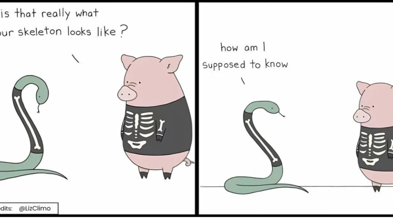 20 Heartwarming Comics About Everyday Life Of Animals