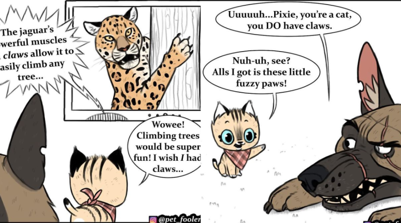 3 New Pixie And Brutus Comics That Will Make Your Day