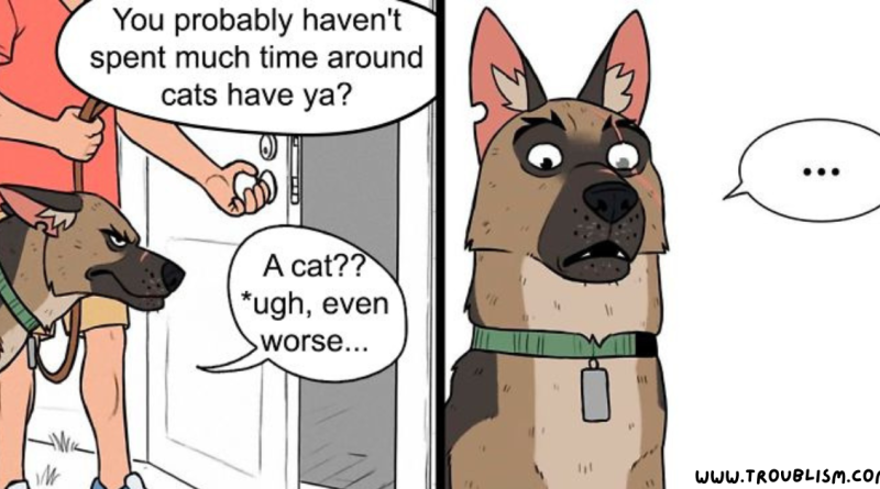 4+ Hilarious Comics About Pets By Pet Foolery That'll Make Your Day