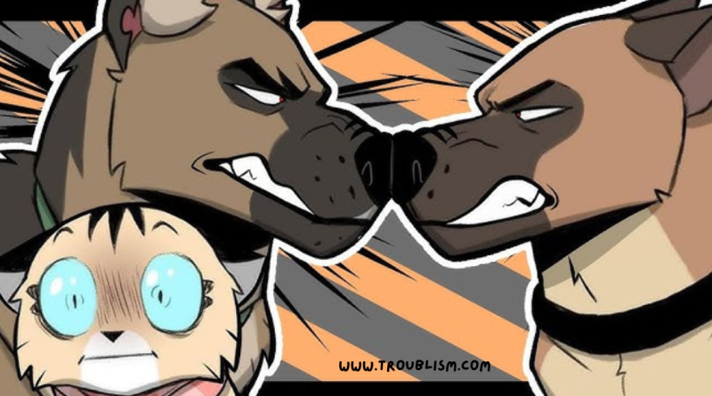 5+ Pixie and Brutus comics that will lift your spirits and bring a smile to your face