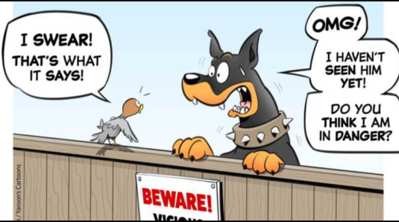 Dog Behavior Therapist Draws Hilarious Comics Strip About Dogs (20 Comics)