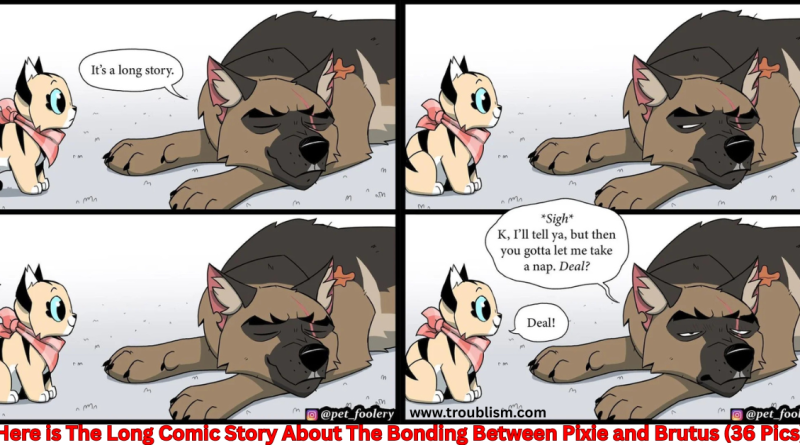 Here is The Long Comic Story About The Bonding Between Pixie and Brutus (36 Pics)