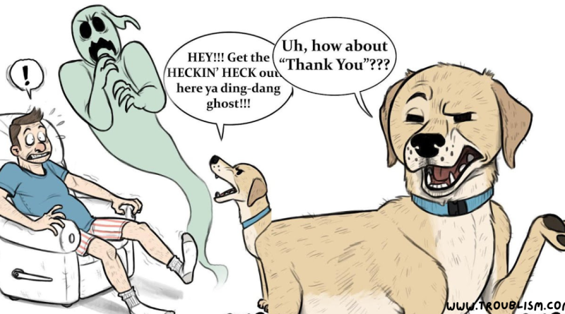 Pet Foolery Nails It Again With 10+ Hilarious Comics Every Pet Lover Will Enjoy