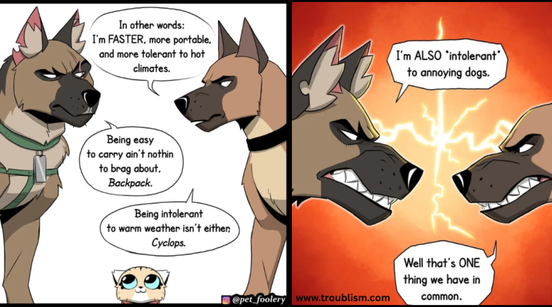 The Friendship Of Pixie and Brutus (29 Drawings)