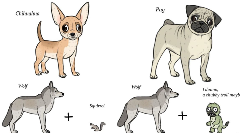The Origins Of Well-Known Dog Breeds And It’s Hilarious