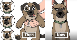 The creator of Pixie and Brutus has finally shared the story behind Brutus' scars, and it’s left fans feeling deeply emotional.