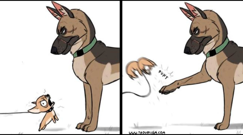 15+ Touching Artworks of Pixie and Brutus' Bond