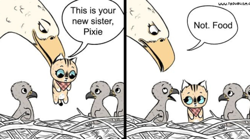 3 beautiful pixie and brutus comics by pet foolery