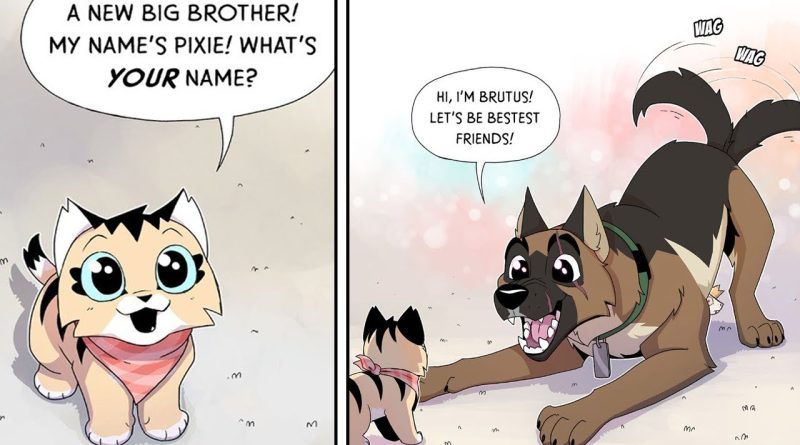 A rewritten version of the entire Pixie and Brutus comic series