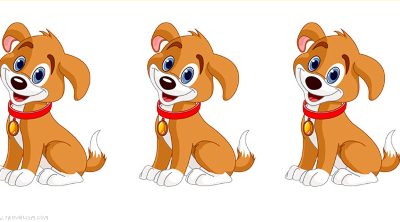 Can You Identify The Odd One Out?