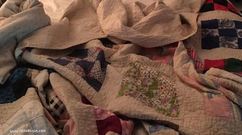 Can you find the cat hidden in this bed?