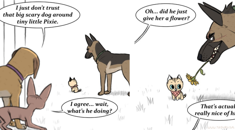 Pixie plays silly Brutus joins laughter turns ordinary day special.