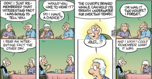 16 Best Pickles Comics To Make you Feel Special