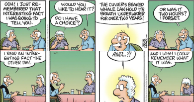 16 Best Pickles Comics To Make you Feel Special
