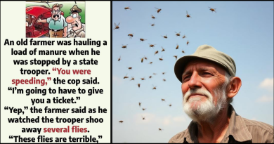 An old farmer and the flies circling him.
