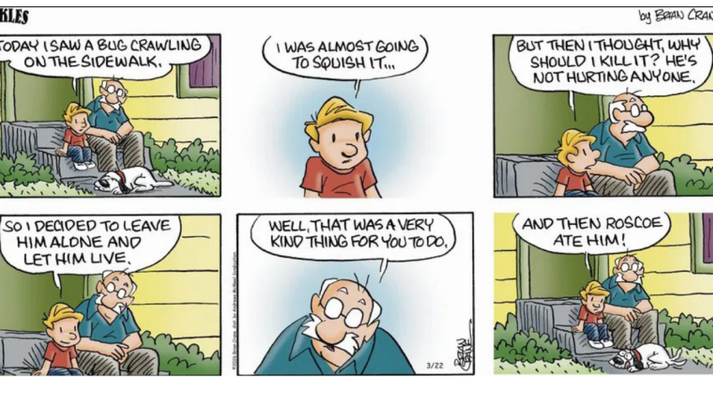 16 Pickles Comics That Will Make You Laugh