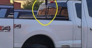 Fresh Fruit Diversity Supports Microbiome Health