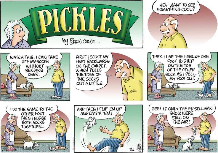 Comic Relief Alert 16 Best Pickles Comics That Will Have You in Stitches