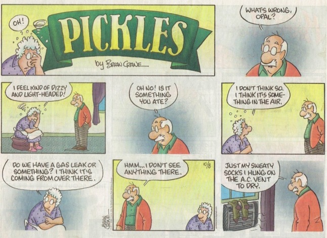 Comic Relief Alert 16 Best Pickles Comics That Will Have You in Stitches