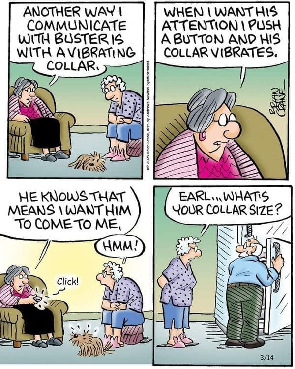 Pickles Comics Dive Into The Best 16 For A Laugh Riot